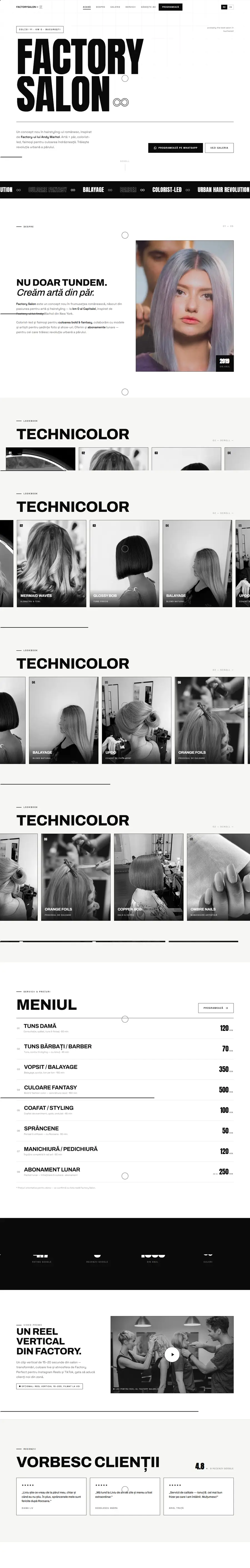 Pagina completă a demo-ului Factory Salon